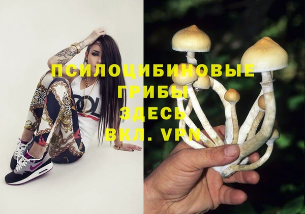 герыч Володарск