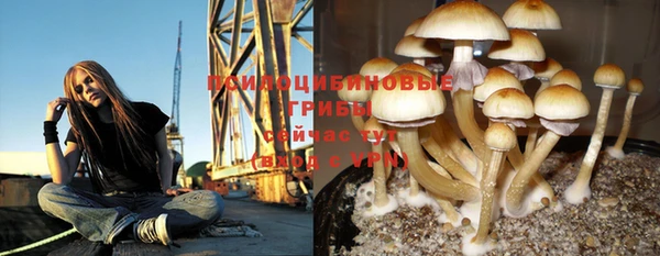 герыч Володарск